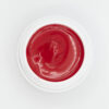 Gel Paint 05 5ml - Image 2